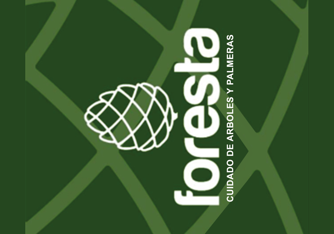 Foresta